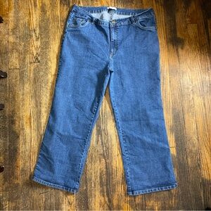 Woman Within Women Blue Stretch Denim Jeans 18W Petite
